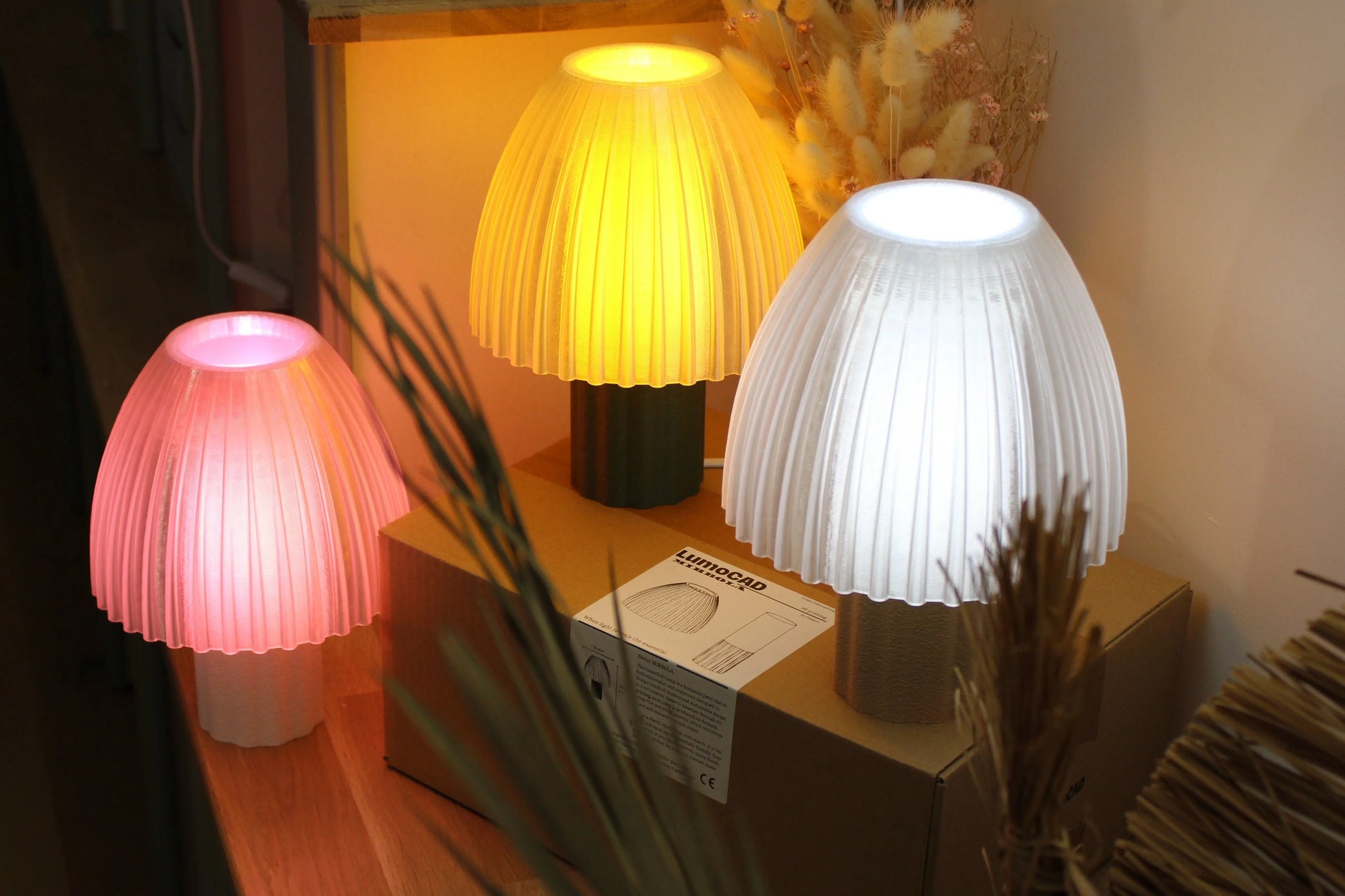 MIRBOLA basic LumoCAD